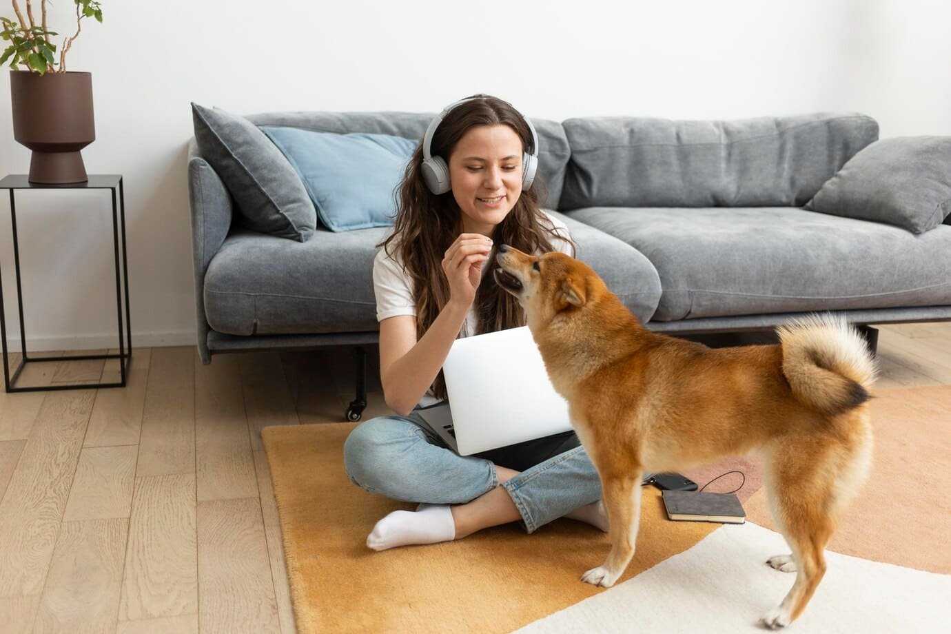 in-home training dog training dubai